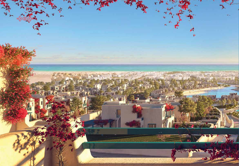 صورة العقار