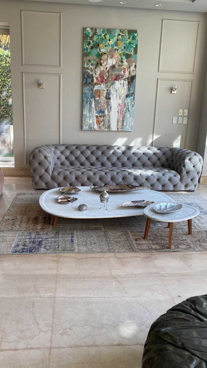 صورة العقار