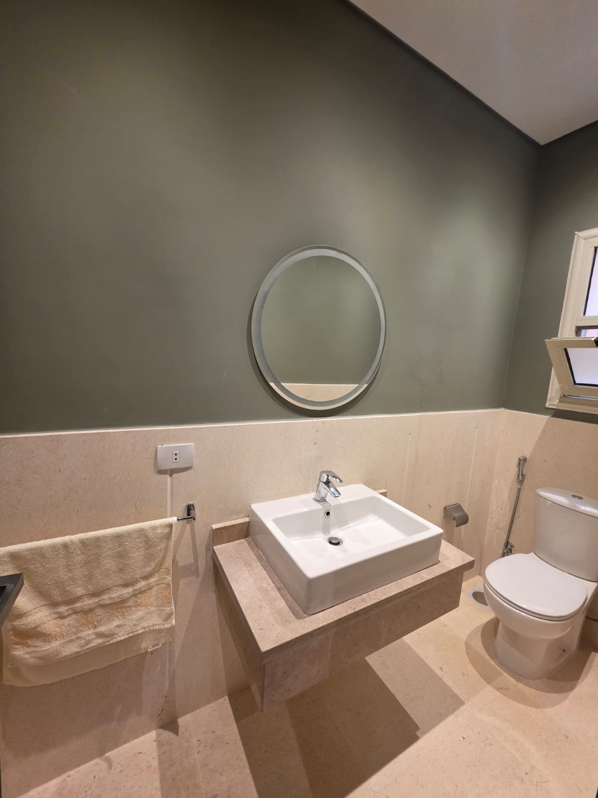 صورة العقار