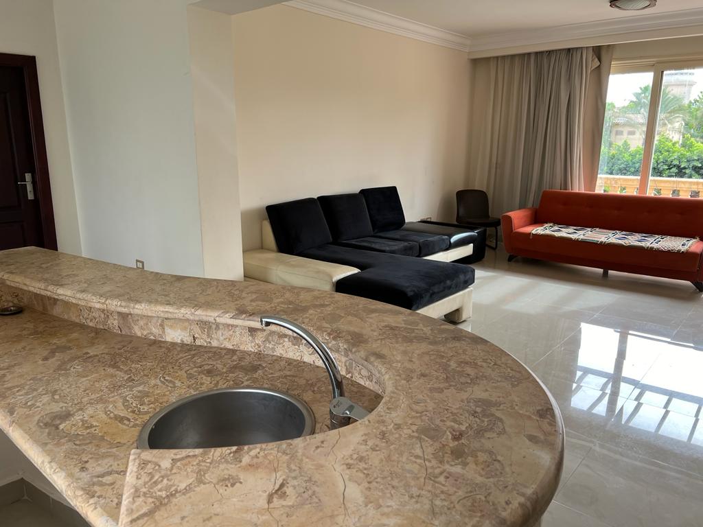 صورة العقار