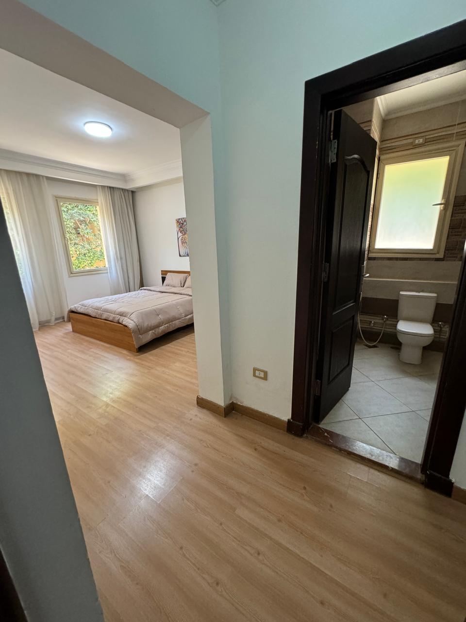 صورة العقار