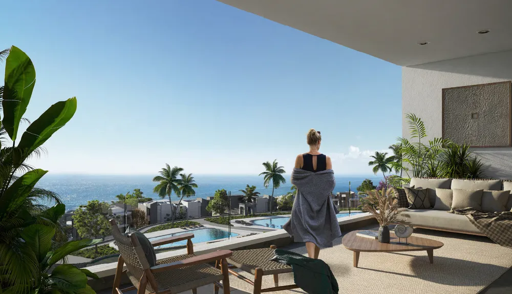 صورة العقار