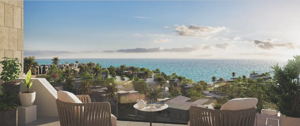 صورة العقار