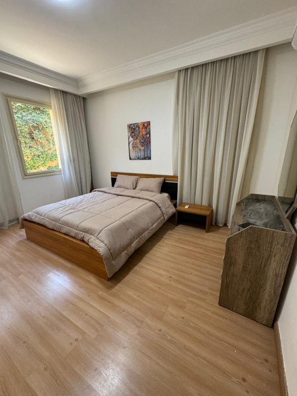 صورة العقار