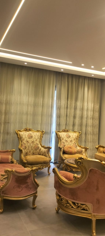 صورة العقار