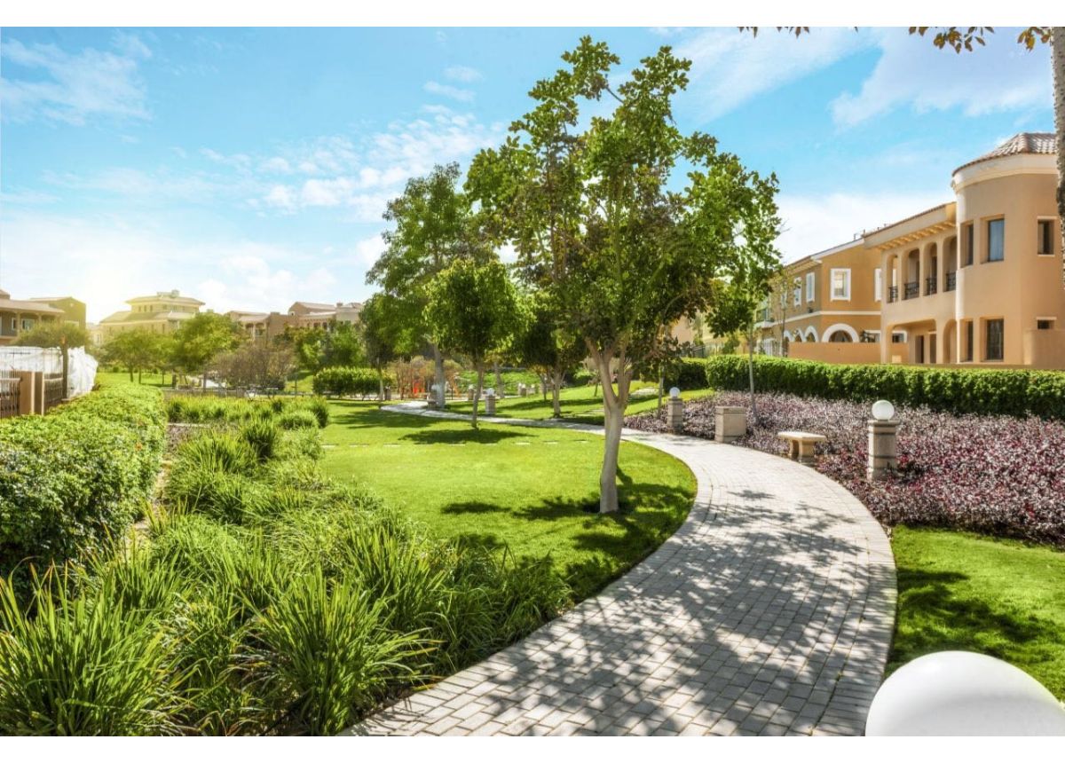 صورة العقار