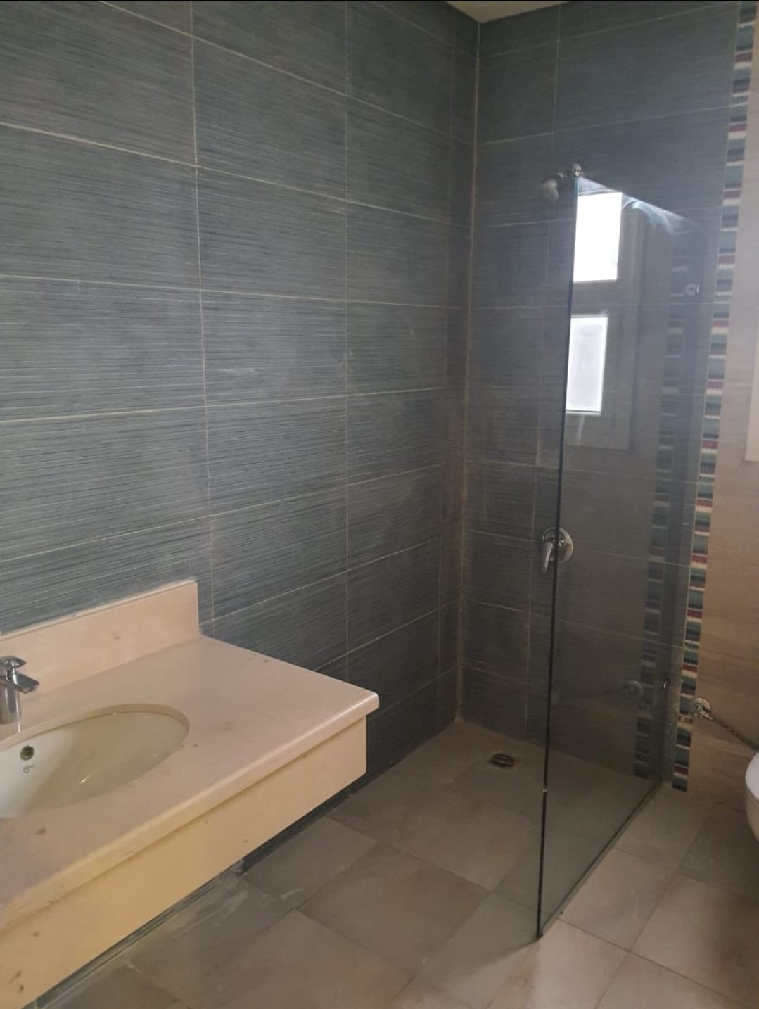 صورة العقار