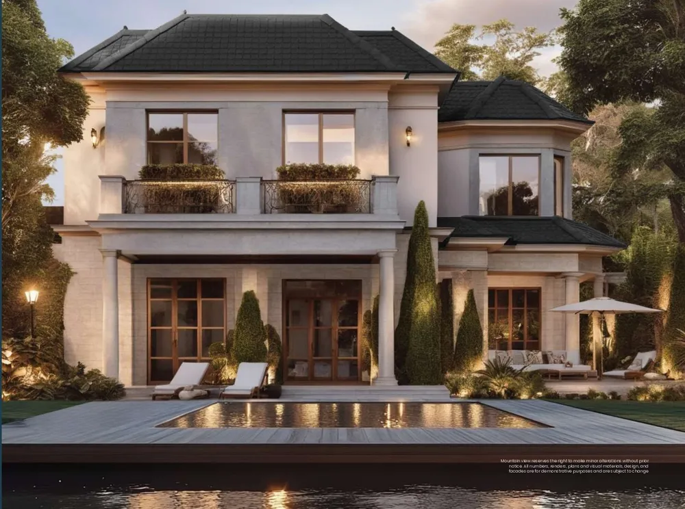 صورة العقار