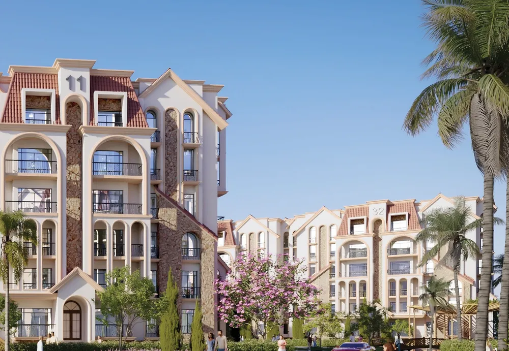 صورة العقار