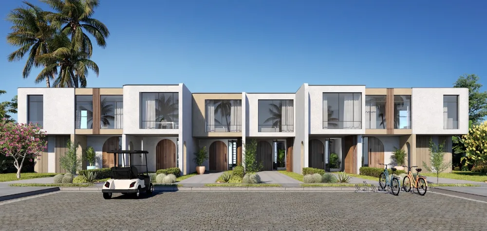 صورة العقار