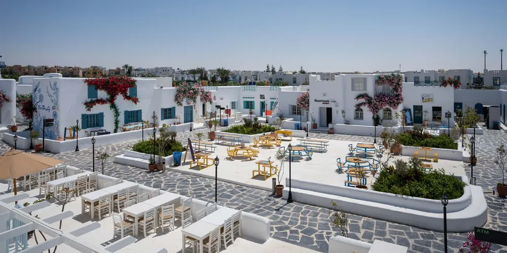 صورة العقار