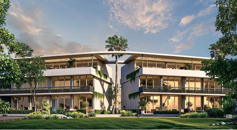 صورة العقار