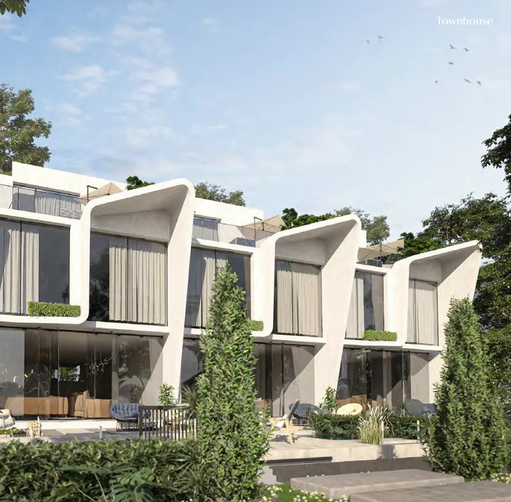 صورة العقار