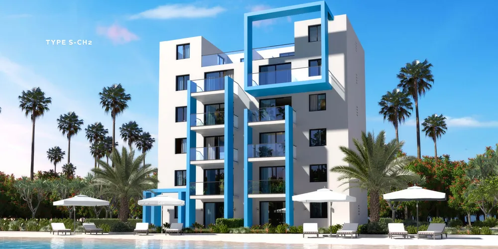 صورة العقار