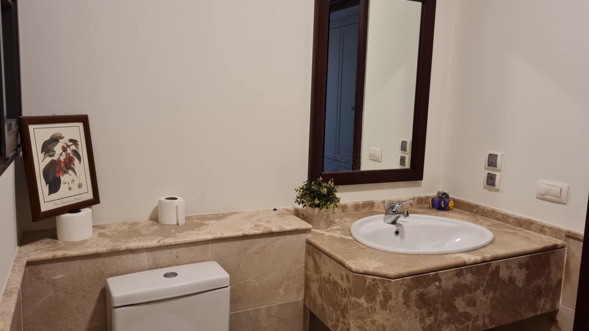 صورة العقار