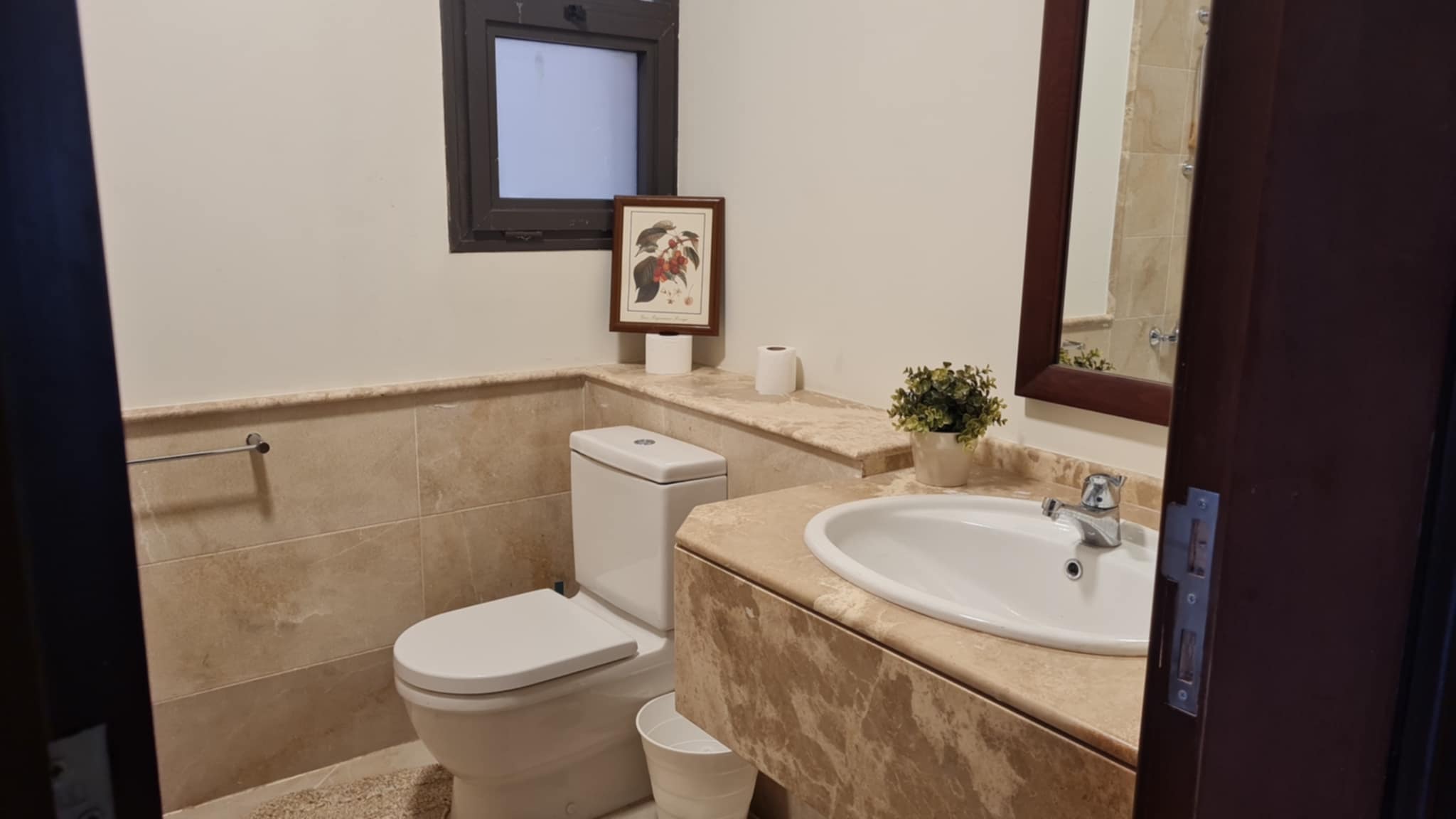 صورة العقار