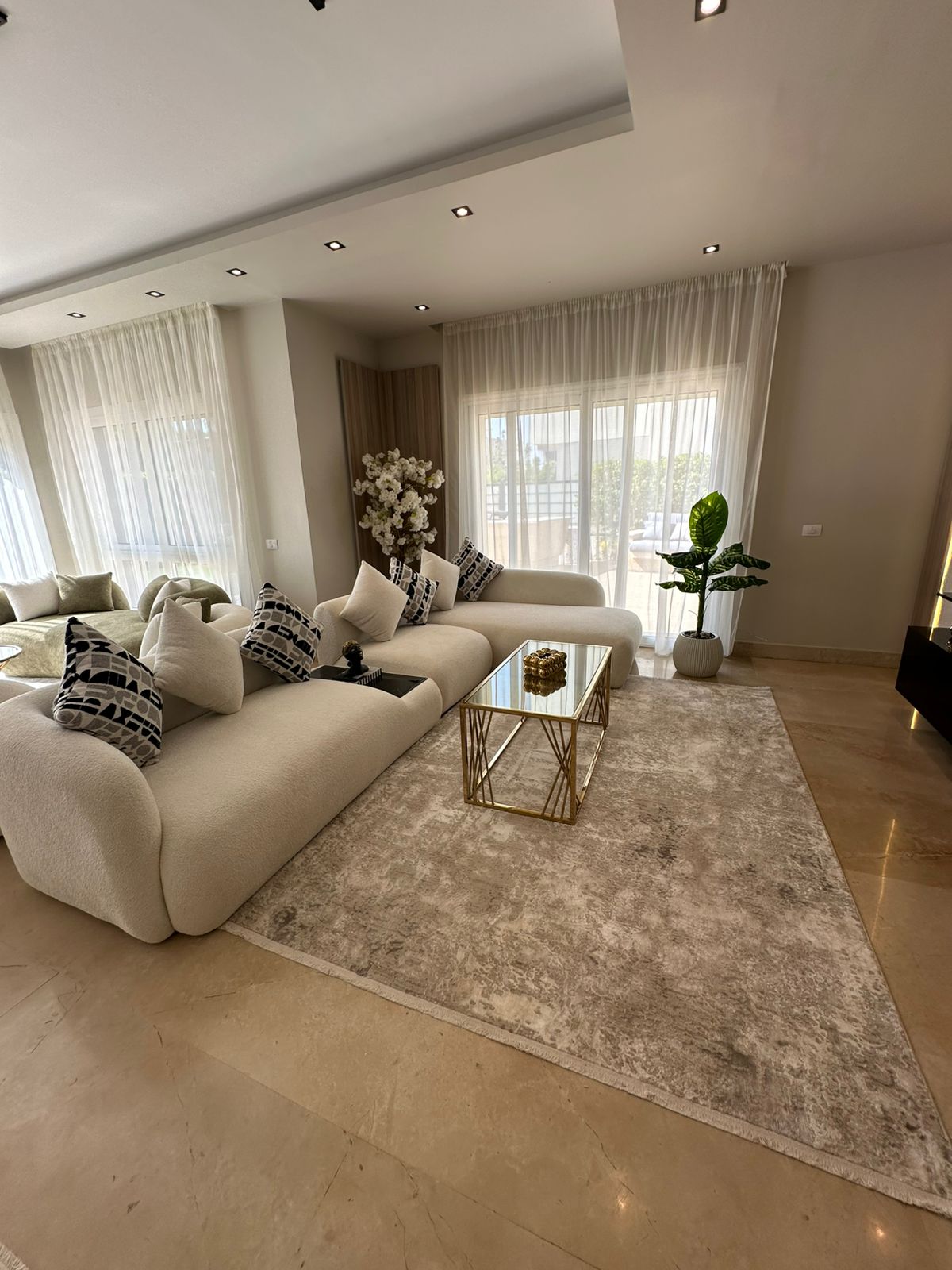 صورة العقار