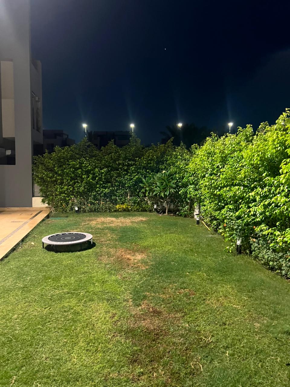 صورة العقار