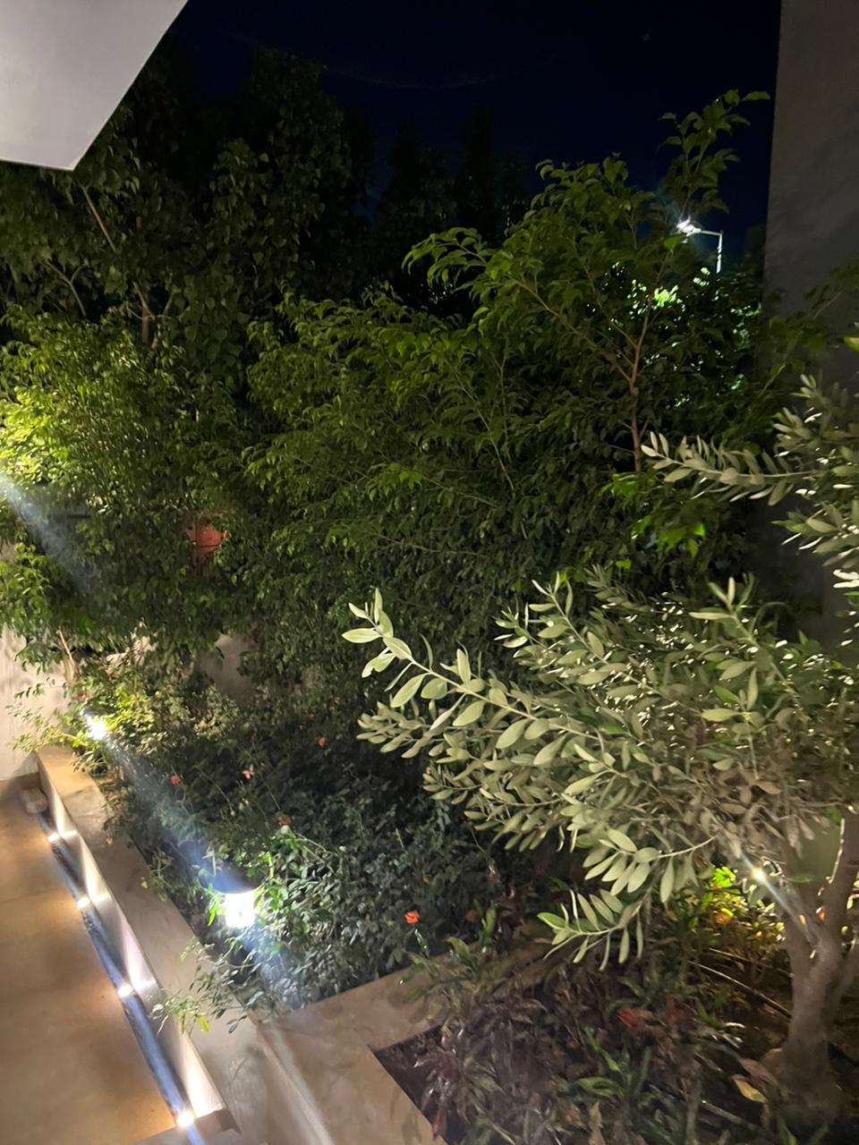 صورة العقار