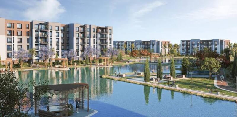 صورة العقار