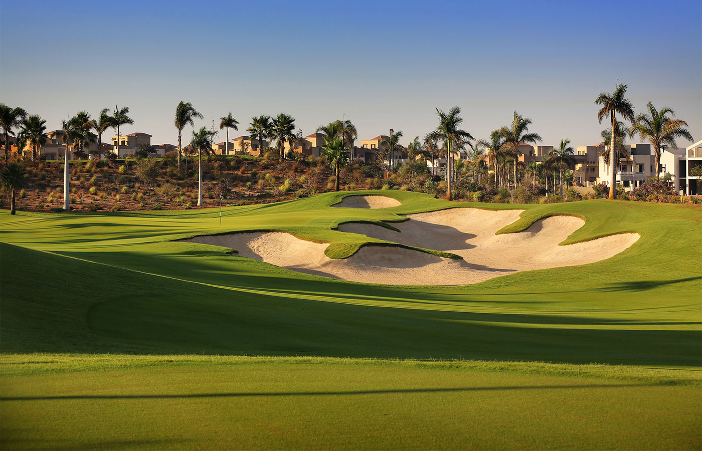 صورة العقار