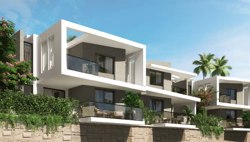 صورة العقار