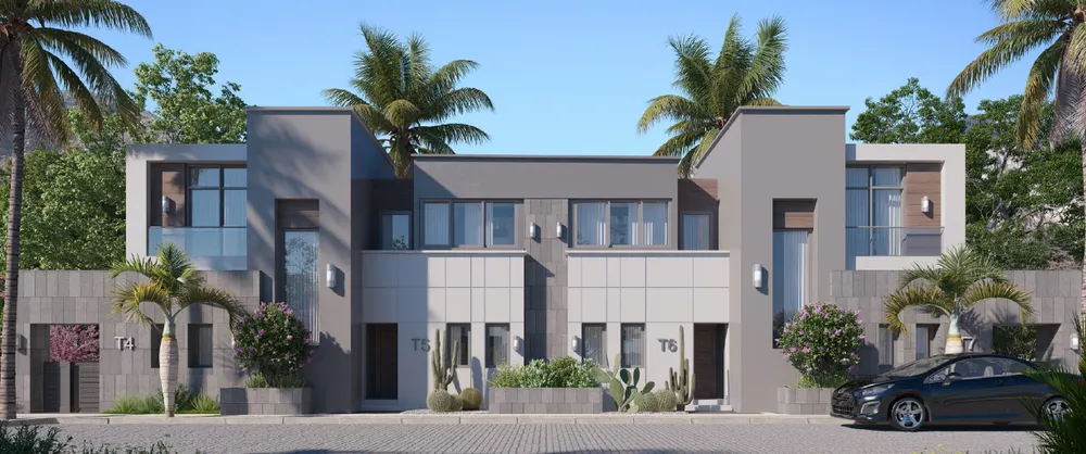 صورة العقار