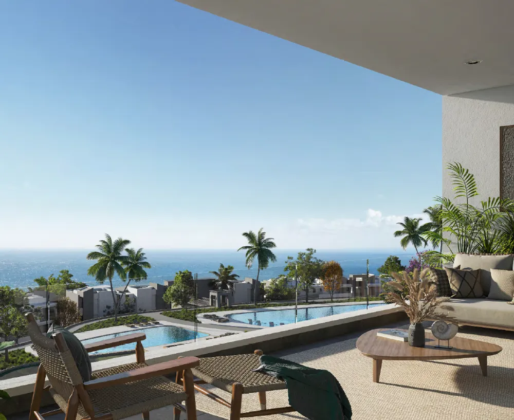 صورة العقار