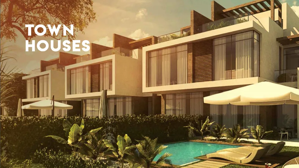 صورة العقار