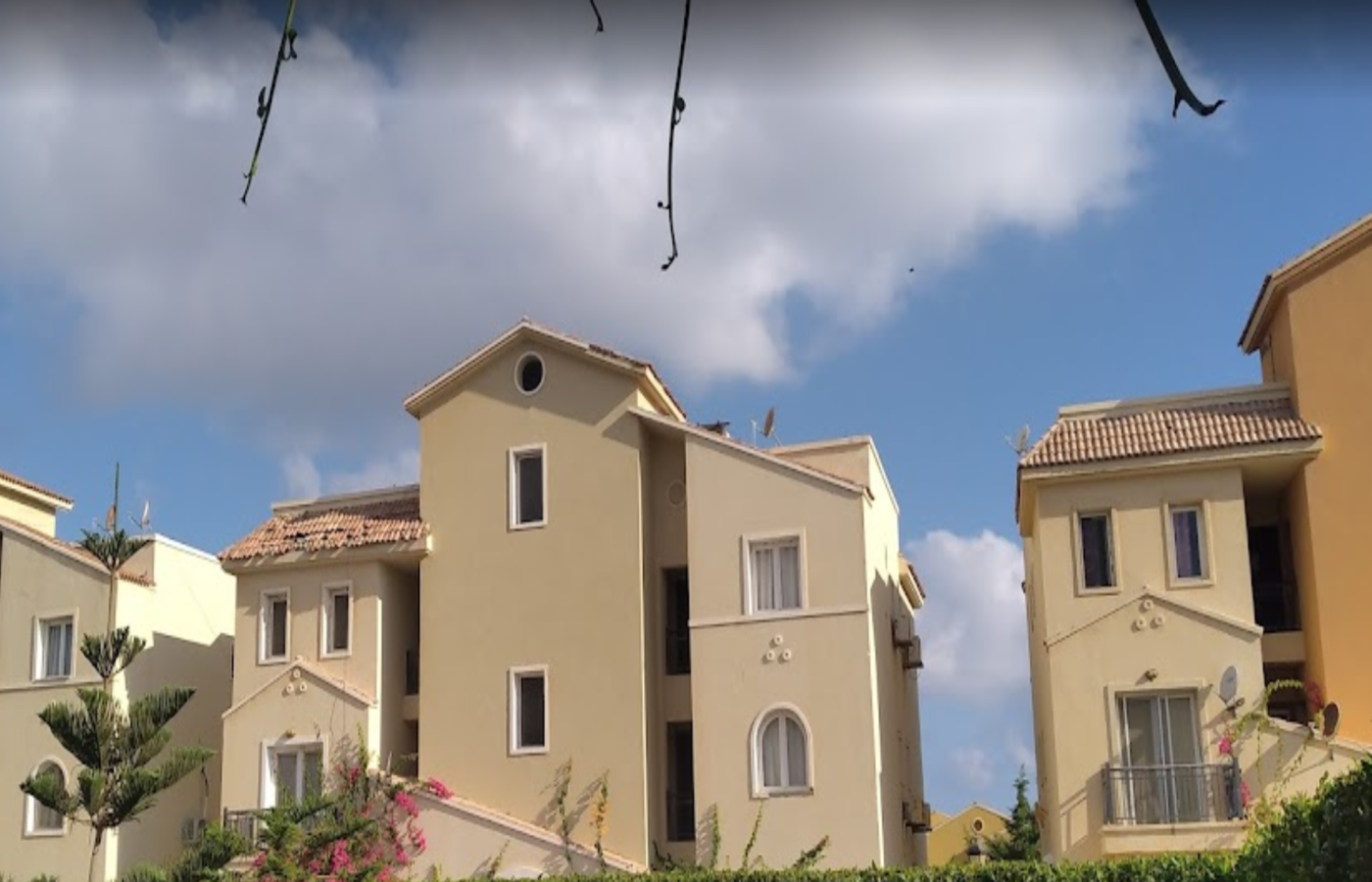 صورة العقار