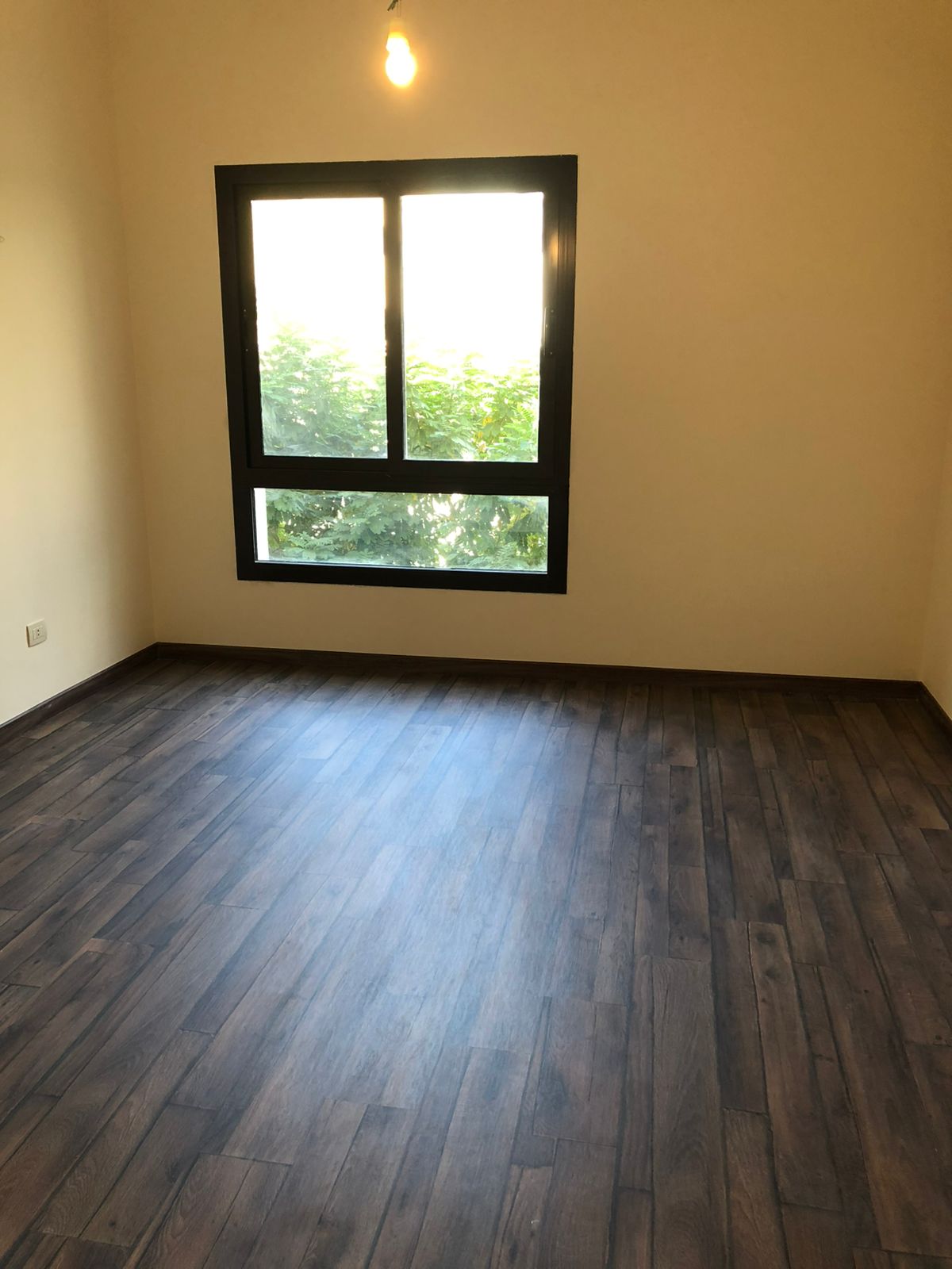 صورة العقار