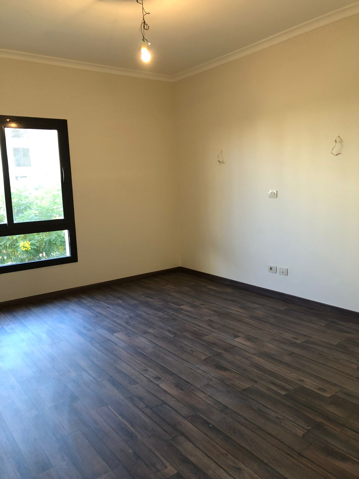 صورة العقار