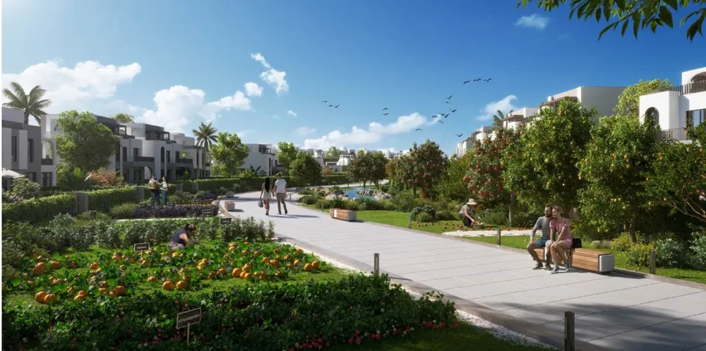 صورة العقار