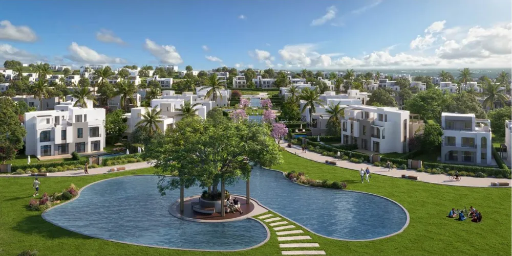 صورة العقار