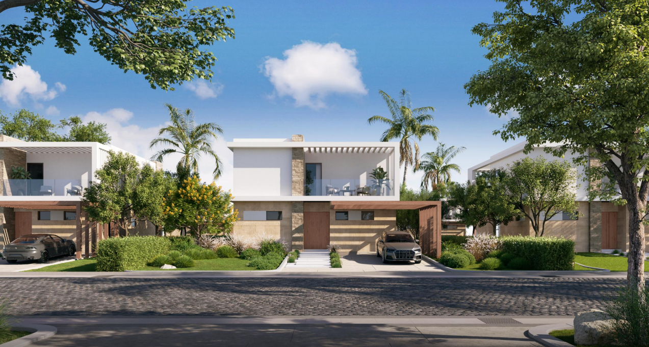 صورة العقار