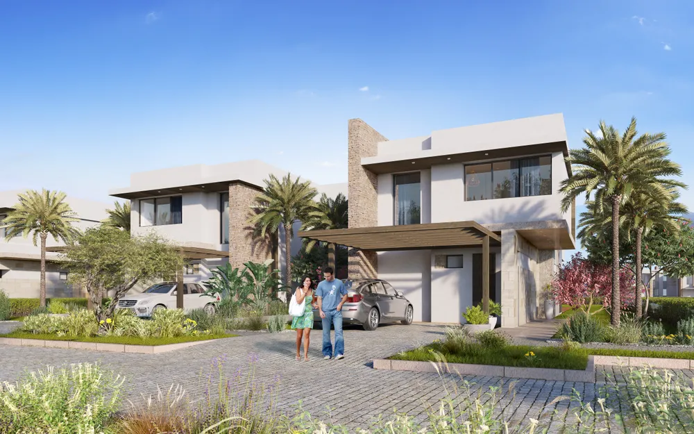 صورة العقار