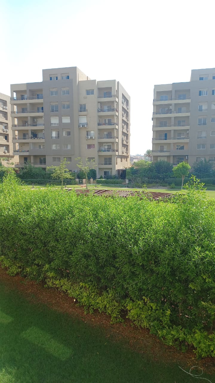 صورة العقار