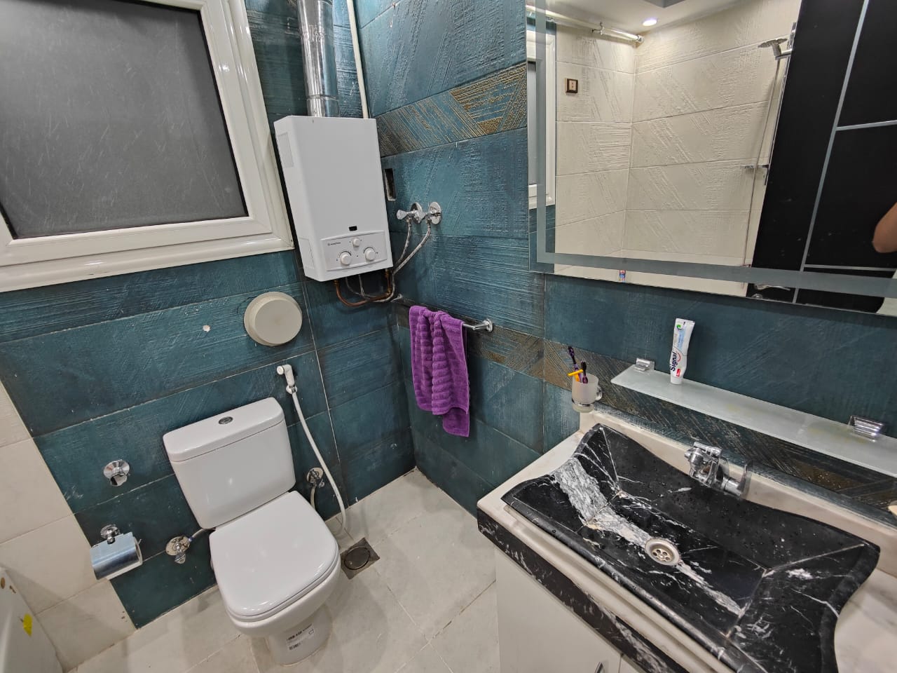 صورة العقار