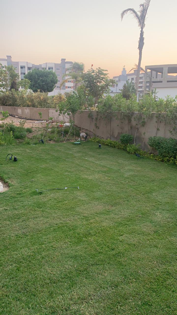 صورة العقار