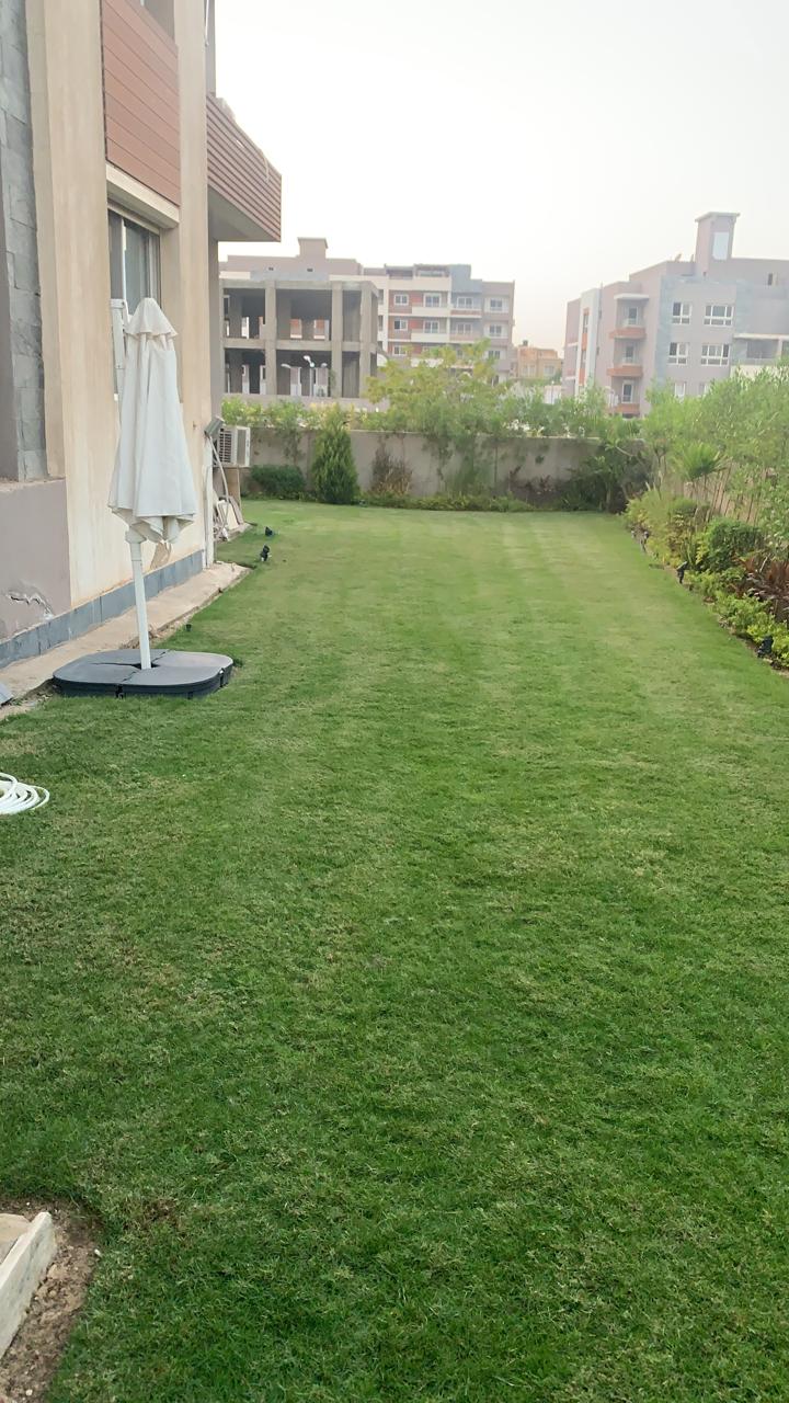 صورة العقار