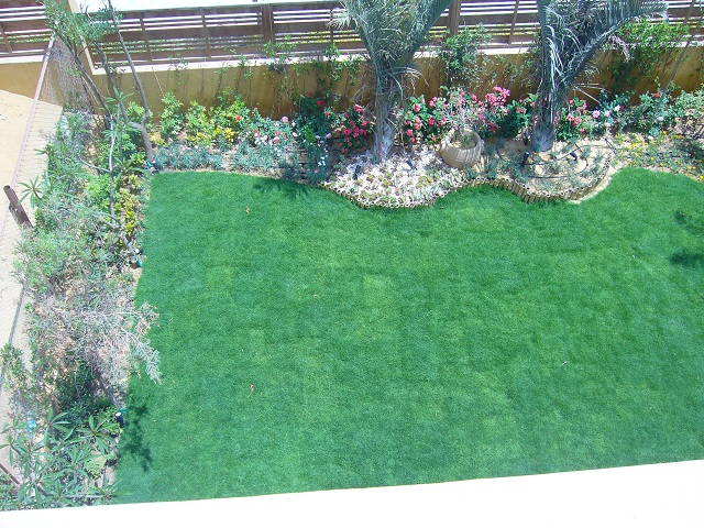 صورة العقار