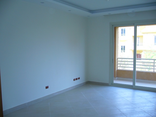 صورة العقار