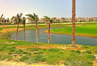 صورة العقار