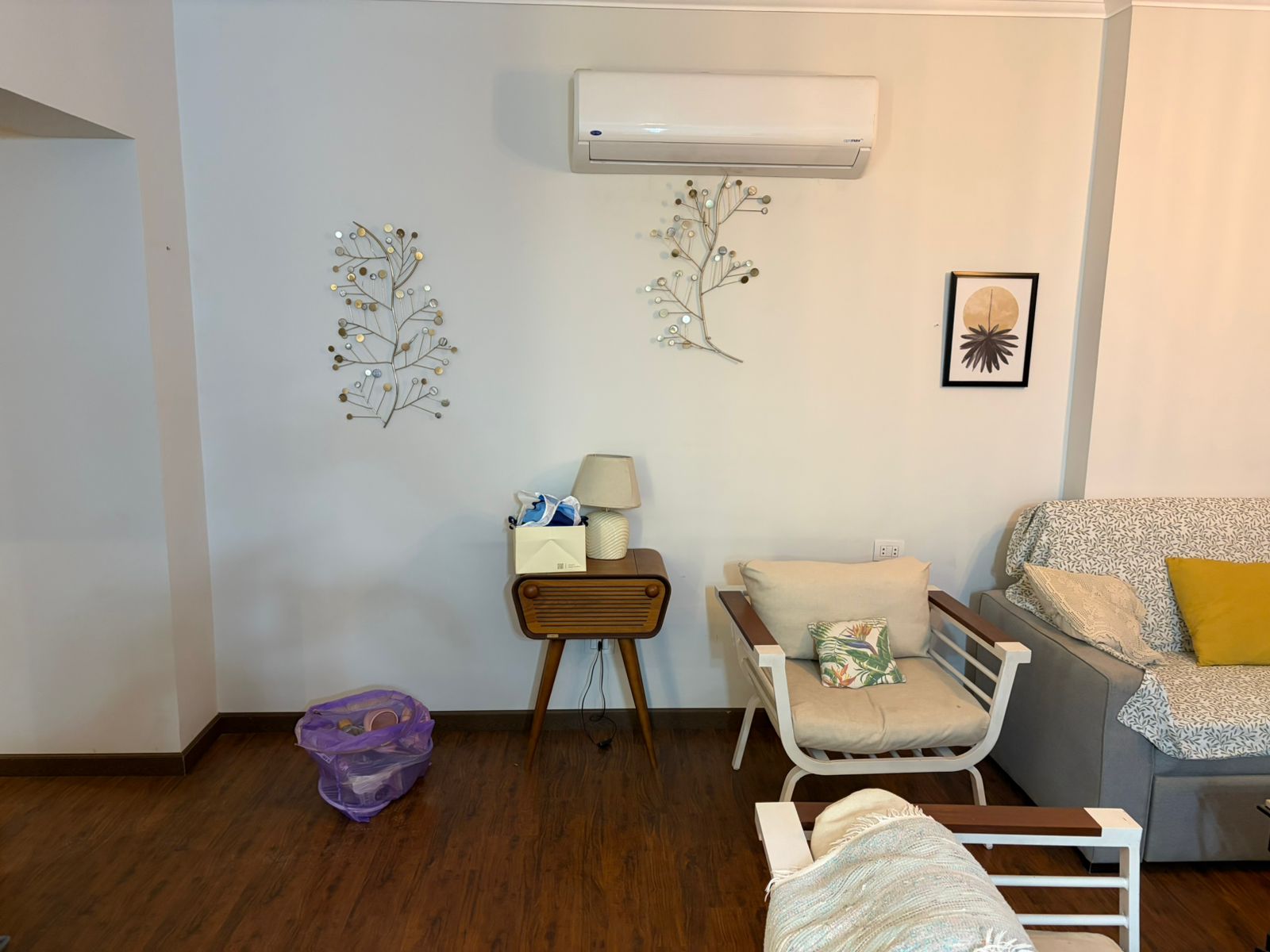 صورة العقار