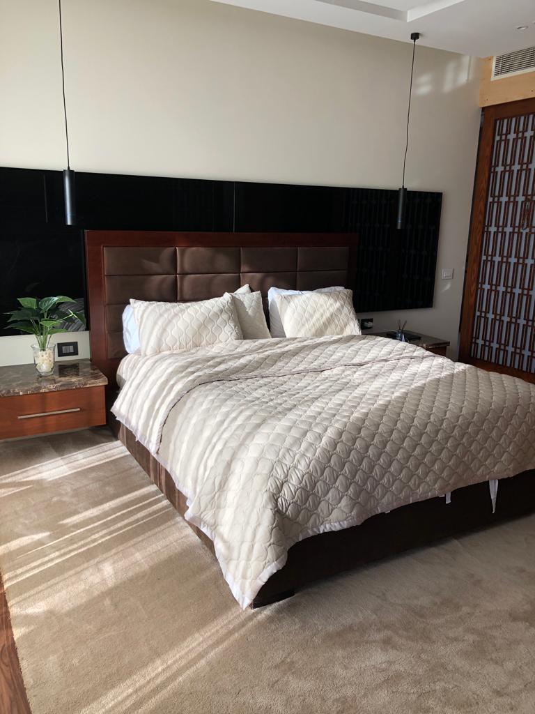 صورة العقار