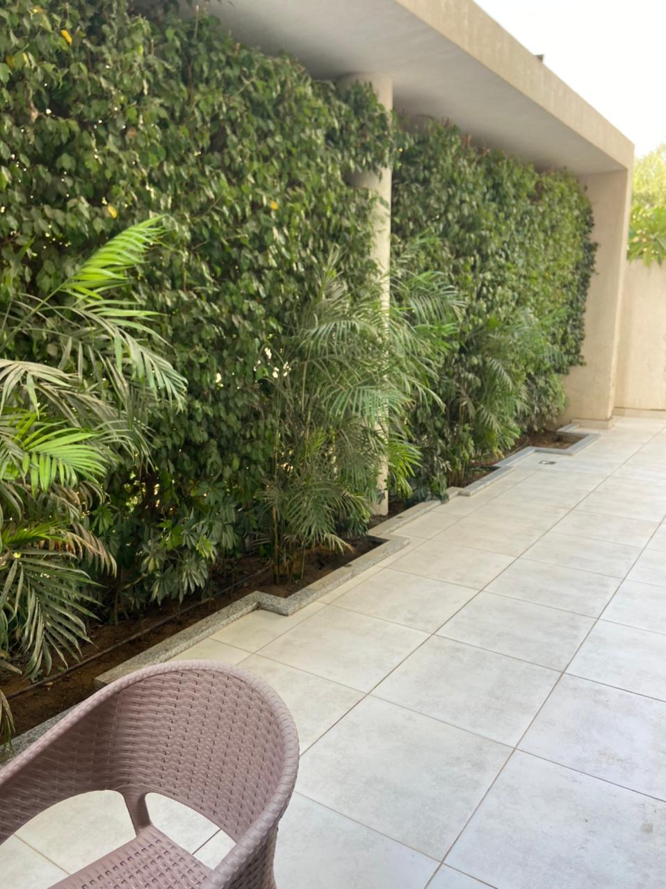 صورة العقار