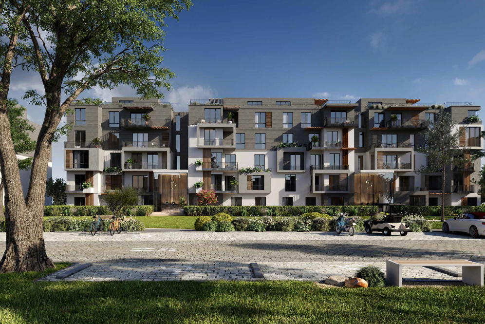 صورة العقار