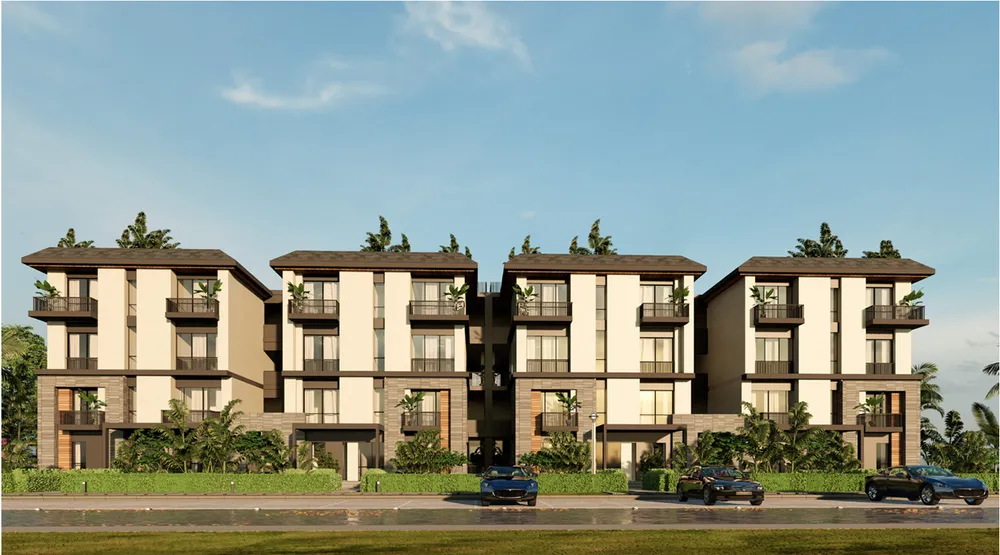 صورة العقار