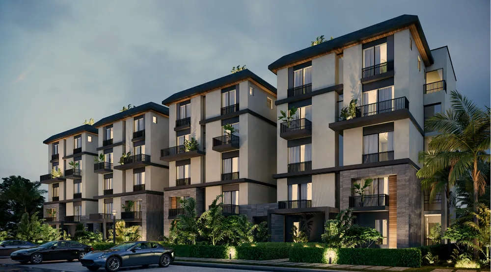 صورة العقار