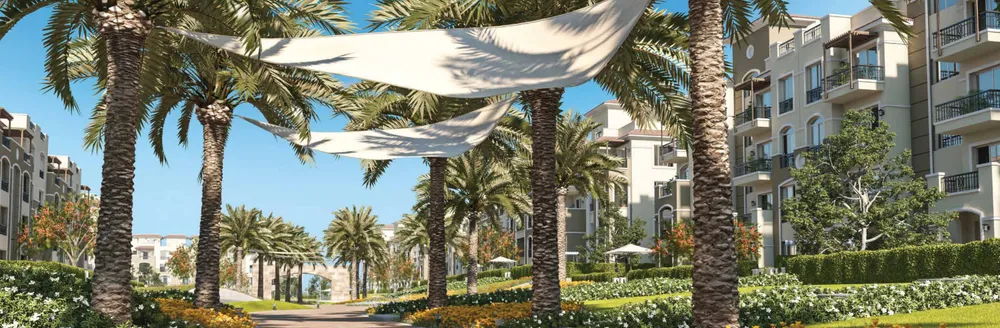 صورة العقار